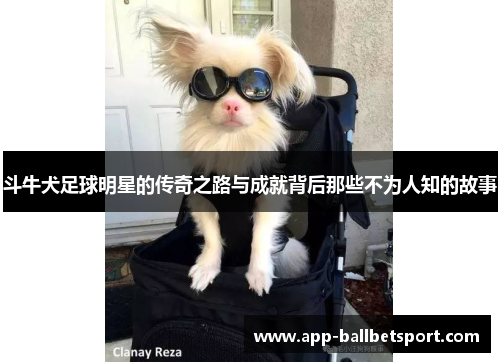 斗牛犬足球明星的传奇之路与成就背后那些不为人知的故事